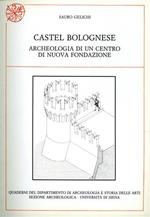 Castel Bolognese. Archeologia di un centro di nuova fondazione