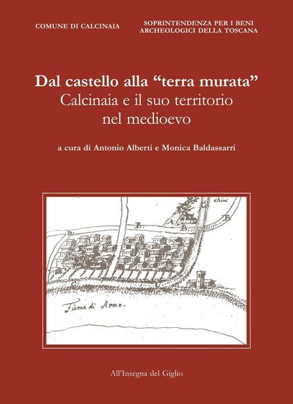 Dal castello alla «terra murata». Calcinaia e il suo territorio nel Medioevo - copertina