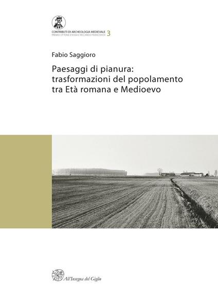 Paesaggi di pianura. Trasformazioni del popolamento tra Età romana e Medioevo. Insediamenti, società e ambiente tra Mantova e Verona - Fabio Saggioro - copertina