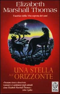 Libreria Postumia