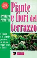 Piante e fiori del terrazzo - Ippolito Pizzetti - copertina