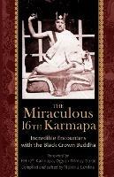 The Miraculous 16th Karmapa - cover