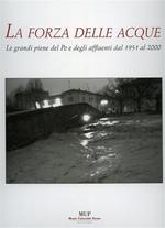 La forza delle acque. Le piene dal 1951 al 2000