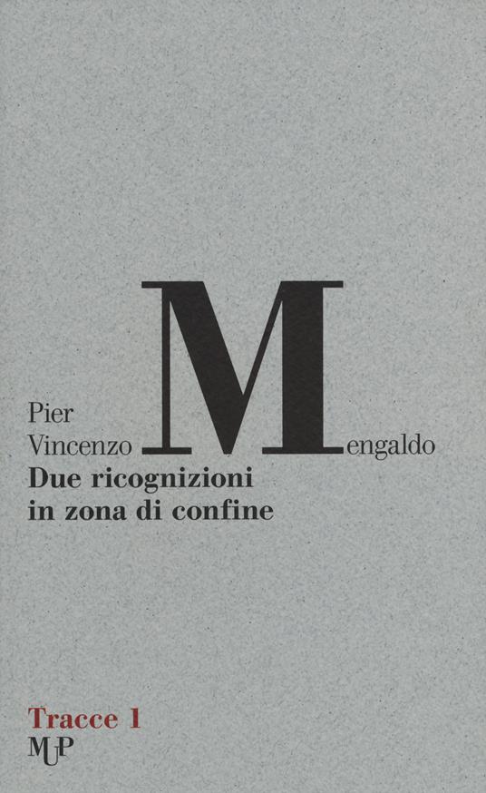 Due ricognizioni in zona di confine - Pier Vincenzo Mengaldo - copertina