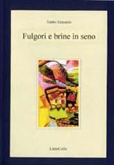Libro Fulgori e brine in seno Santo Atanasio