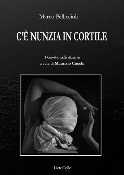 C'è Nunzia in cortile - Marco Pelliccioli - copertina