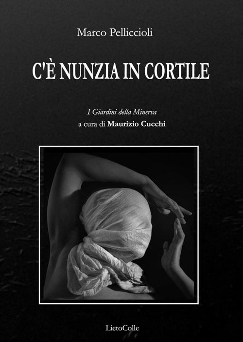 C'è Nunzia in cortile - Marco Pelliccioli - copertina