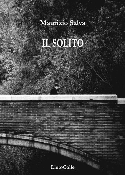 Il solito - Maurizio Salva - copertina