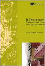 Il Monte prima del Monte. Archeologia e storia di un quartiere medievale di Forlì