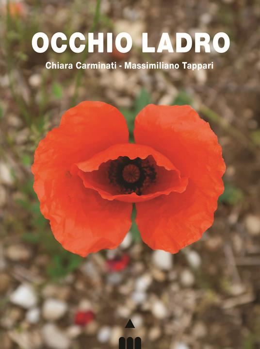 Occhio ladro - Chiara Carminati - copertina