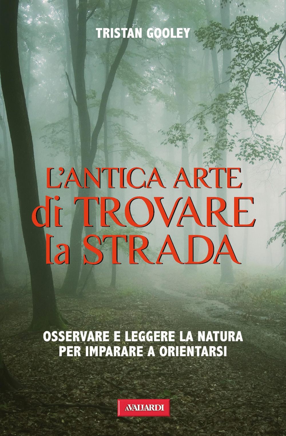 Sbinario nove e 3/4