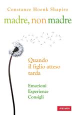 Madre, non madre. Quando il figlio atteso tarda. Emozioni, esperienze, consigli