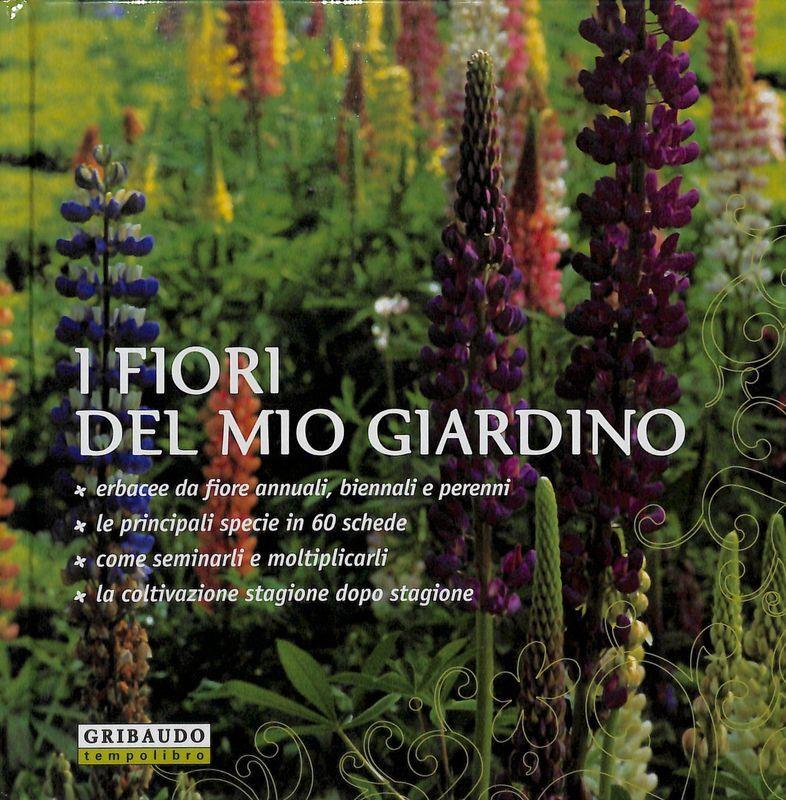 Folignolibri