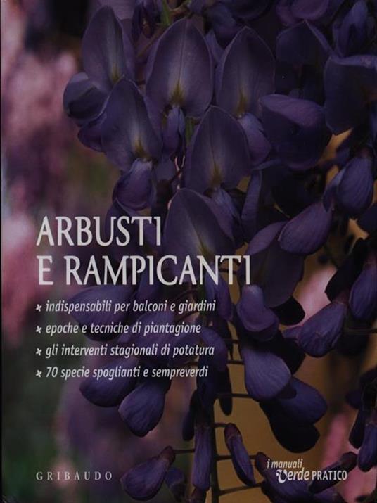 Arbusti e rampicanti - D. C. Vicini - 3