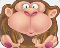 La mia amica scimmia. Con adesivi. Ediz. illustrata - copertina