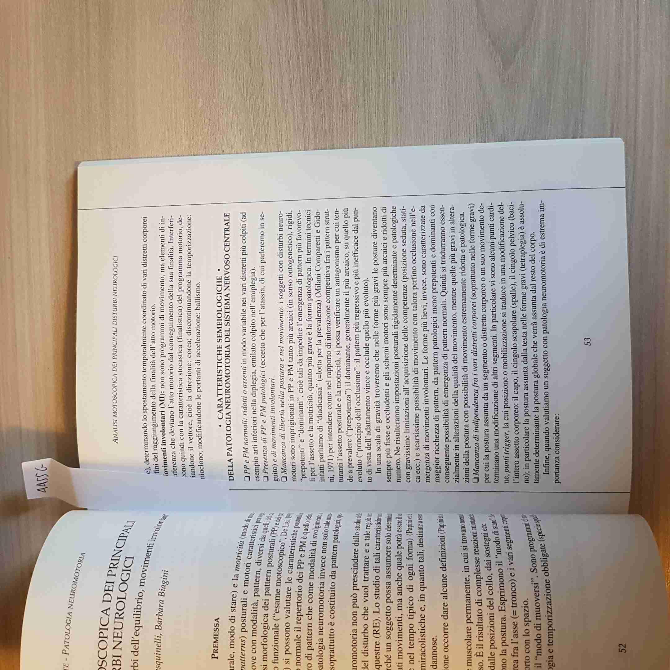 Principi pratici di riabilitazione equestre