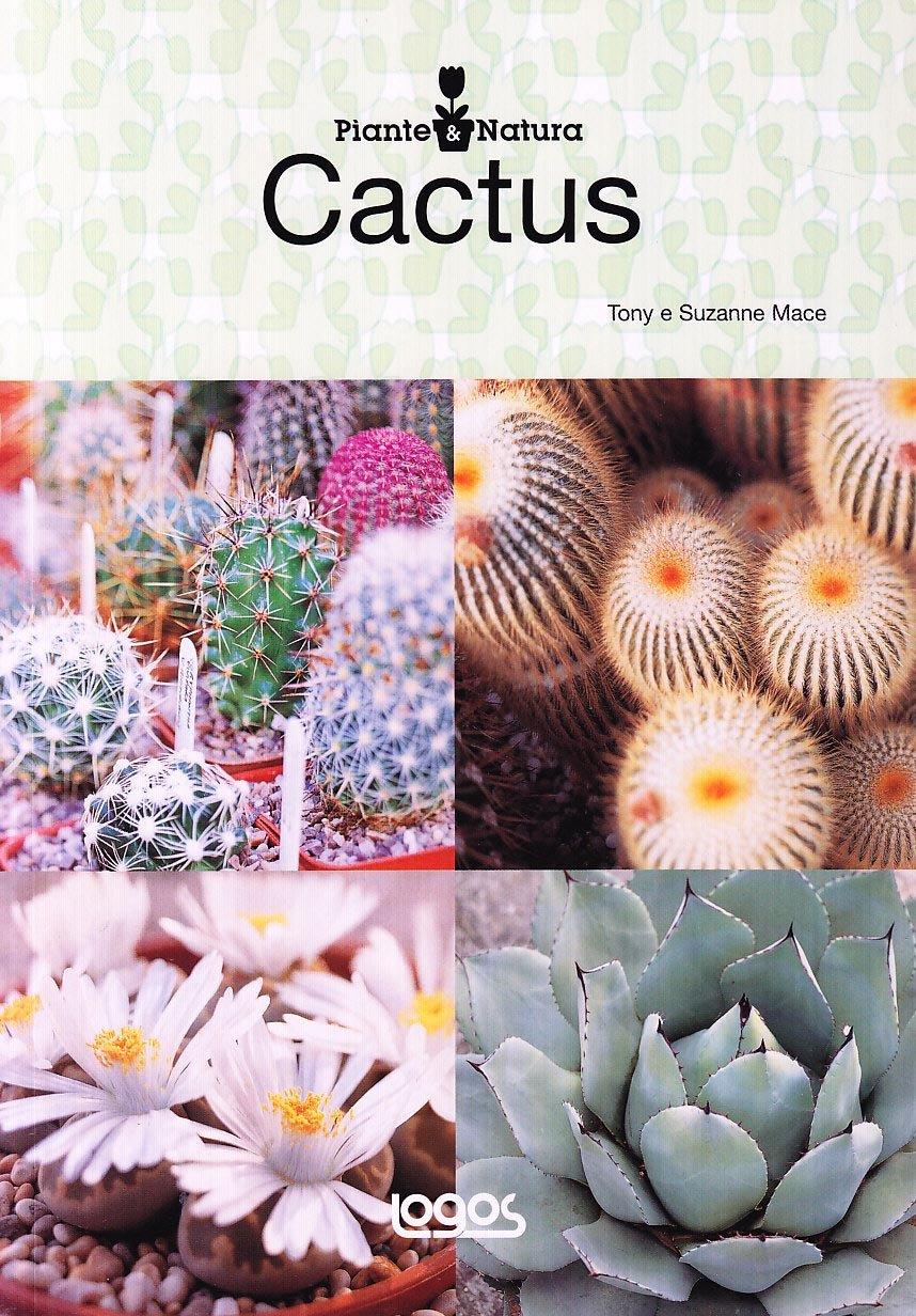 Piante e natura cactus