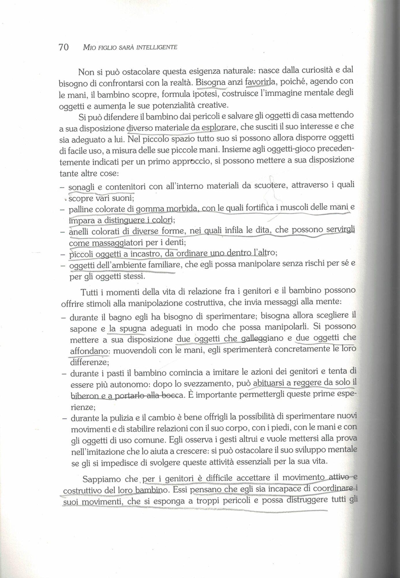 Mio figlio sarà intelligente. Scoprire le potenzialità e sviluppare le capacità cognitive