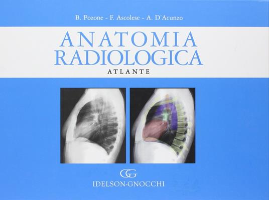 Anatomia radiologica. Atlante - Bruno Pozone,Franco Ascolese,Annunziata D'Acunzo - copertina