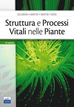 Struttura e processi vitali nelle piante