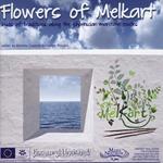 Flowers of Melkart. Buds of tradition along the phoenician maritime routes