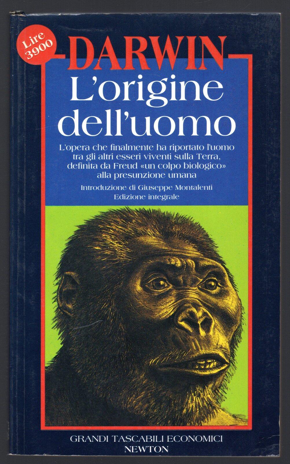 Libreria Trippini Sergio