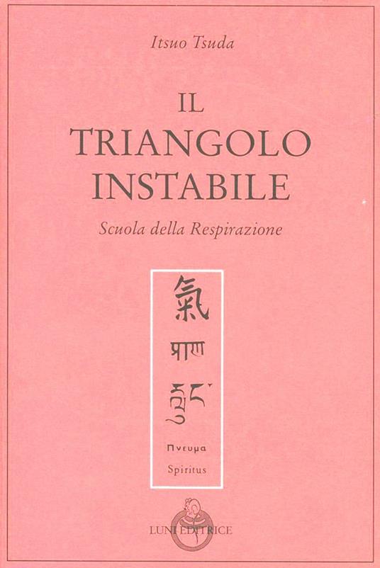 Il triangolo instabile - Itsuo Tsuda - copertina