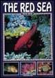 Mar Rosso. Ediz. inglese