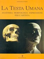 La testa umana