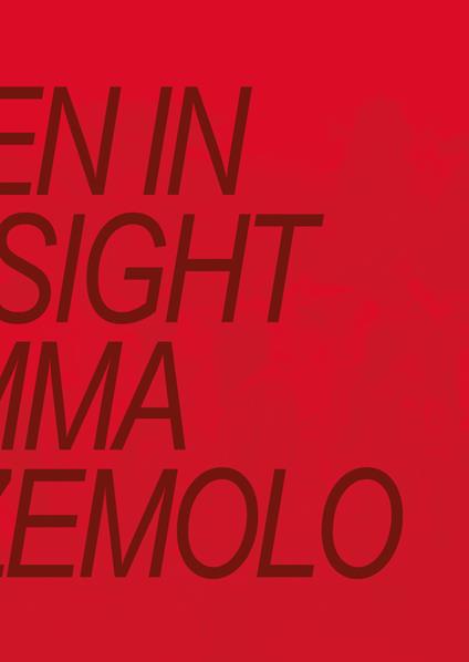 Hidden in Plain Sight. Ediz. a colori - Fiamma Montezemolo - copertina