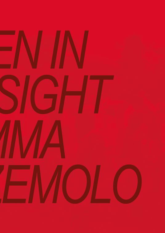 Hidden in Plain Sight. Ediz. a colori - Fiamma Montezemolo - copertina