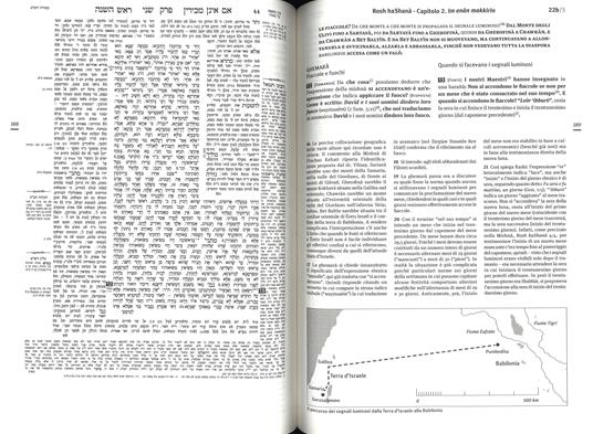 Talmud babilonese. Trattato Rosh haShanà. Testo ebraico a fronte - 5