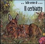 Il cerbiatto