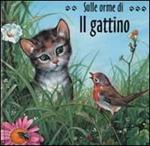 Il gattino