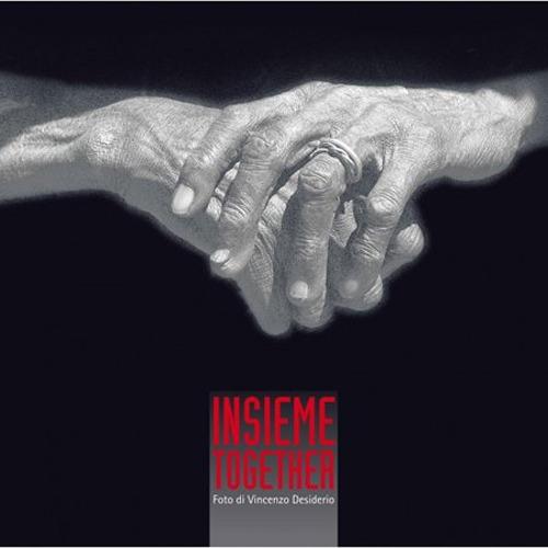 Insieme-Together. Ediz. bilingue - Vincenzo Desiderio - copertina
