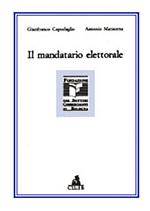 Il mandatario elettorale. Verso la trasparenza amministrativa delle campagne elettorali