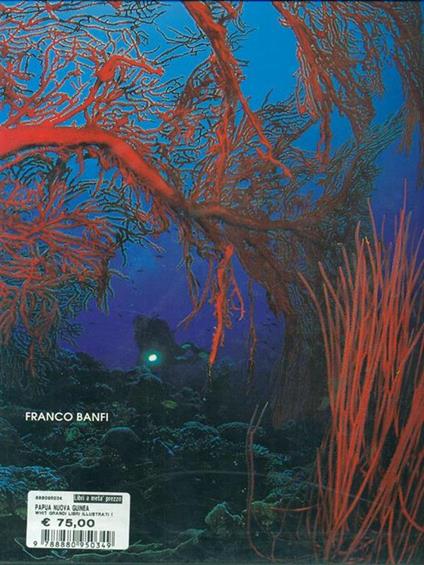 Papua Nuova Guinea. Ediz. illustrata - Franco Banfi - copertina