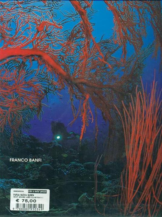 Papua Nuova Guinea. Ediz. illustrata - Franco Banfi - copertina