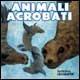 Libro Animali acrobati. Ediz. illustrata 