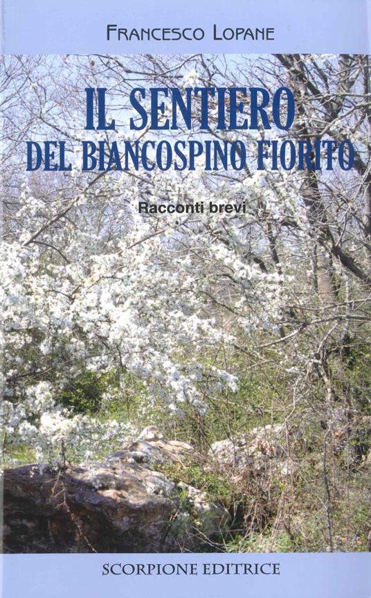Il sentiero del biancospino fiorito. Racconti brevi - Francesco Lopane - copertina