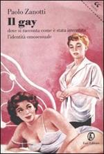 Il gay. Dove si racconta come è stata inventata l'identità omosessuale