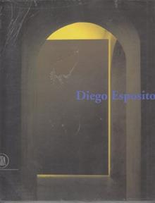 Diego Esposito. Passaggi. Ediz. trilingue