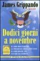 Dodici giorni a novembre - James Grippando - copertina