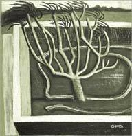 Julia Binfield. Graphic design & illustration. Ediz. italiana e inglese - Julia Binfield,Perry King,Santiago Miranda - copertina
