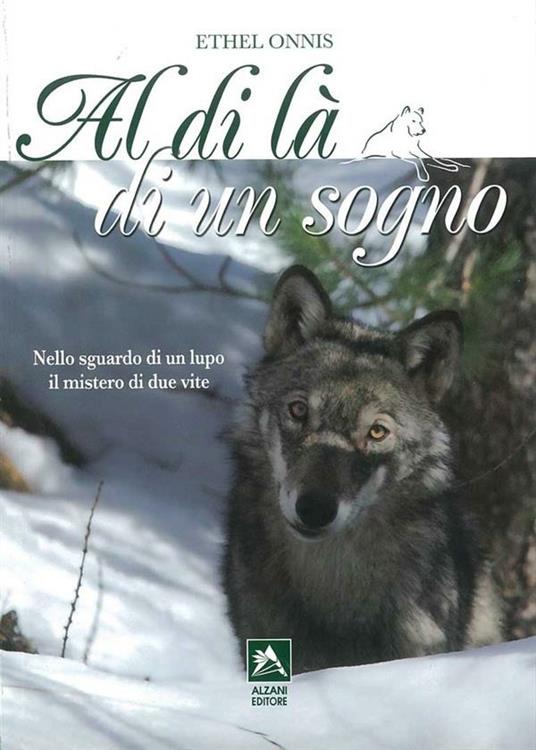 Al di là di un sogno - Ethel Onnis - copertina