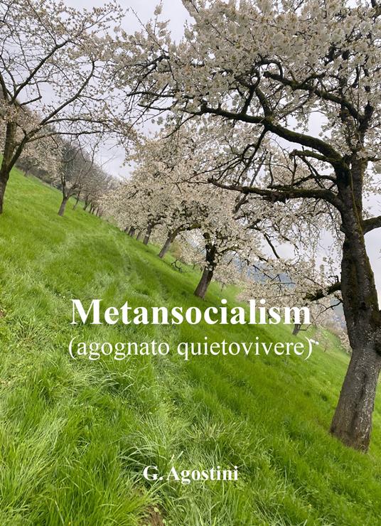 Metansocialism (agognato quietovivere) - Gino Agostini - copertina