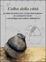 L' alba della città. Le prime necropoli del centro protourbano di Castelletto Ticino. Ediz. illustrata