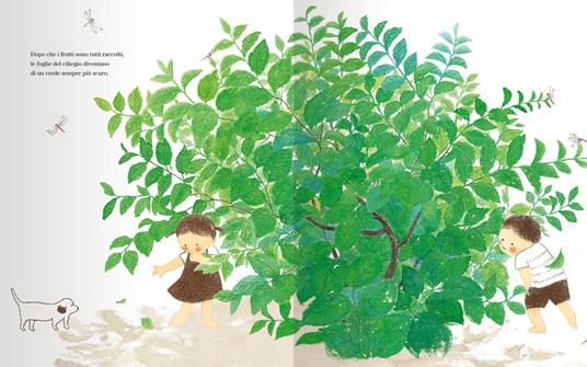Il ciliegio. Ediz. a colori - Moon Myung-Ye - 6