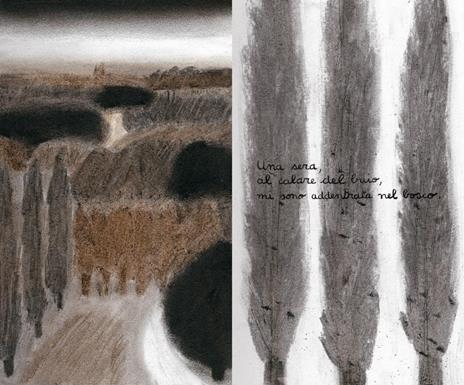 Notte magica. Ediz. a colori - Sarah Cheveau - 4