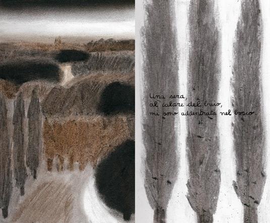 Notte magica. Ediz. a colori - Sarah Cheveau - 4